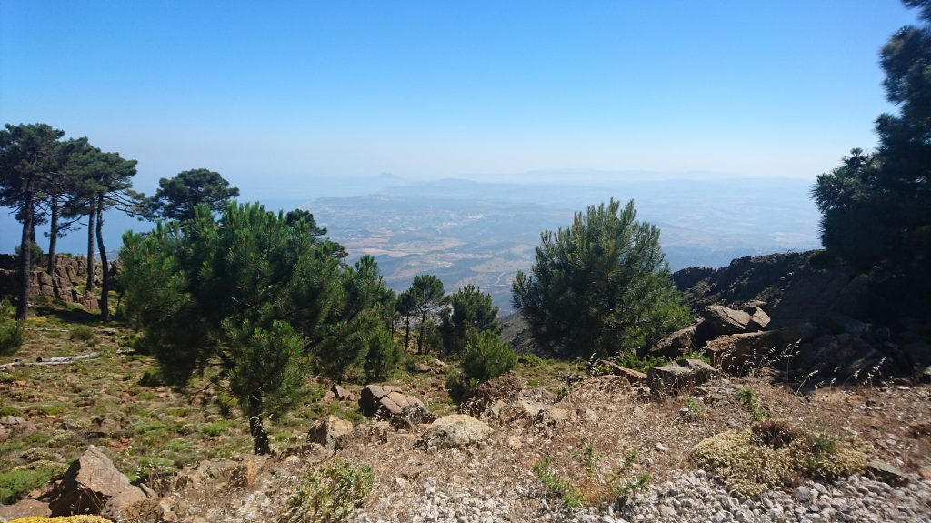 Los Reales de Sierra Bermeja